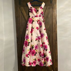 Long Beautiful Dress new with tags